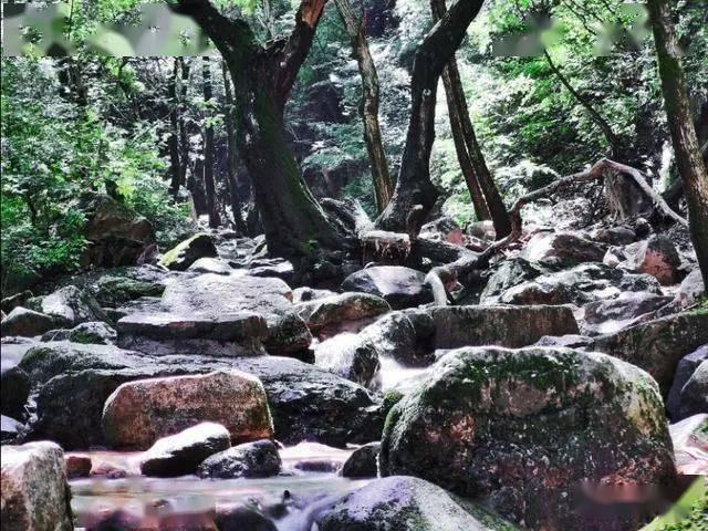 @所有人~2024年鼓楼区元旦春节“你点我检 服务惠民生”结果公示啦!